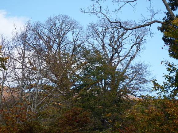 f0118332_2224555.jpg