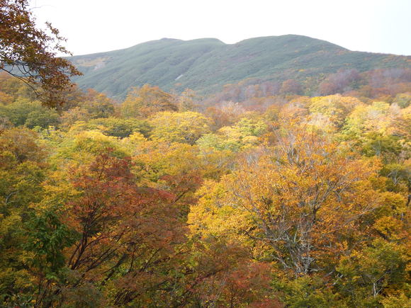 f0118332_22245775.jpg