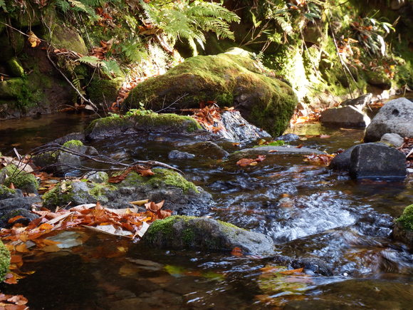 f0118332_22292313.jpg