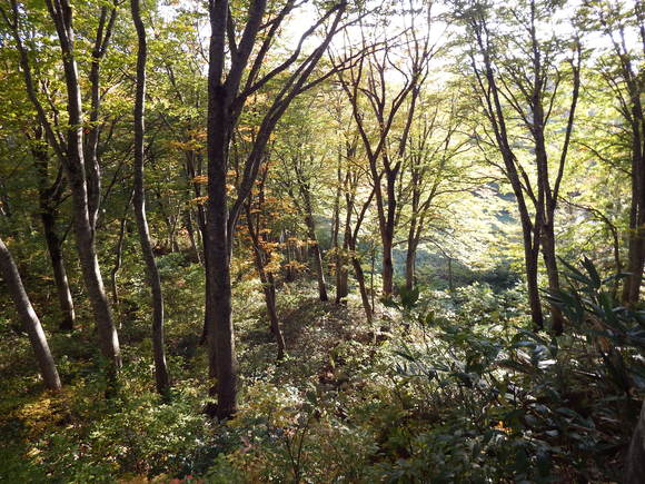 f0118332_22294169.jpg
