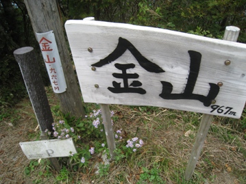 c0077338_20524874.jpg