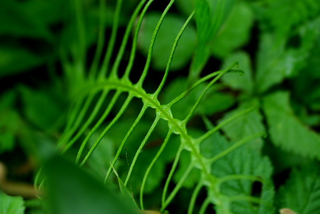 a0143439_10204464.jpg