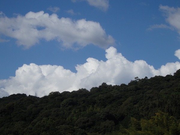 a0054240_0452415.jpg