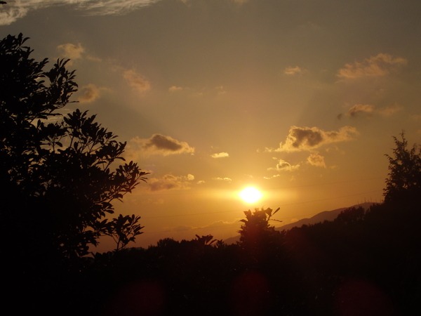 a0054240_155257.jpg