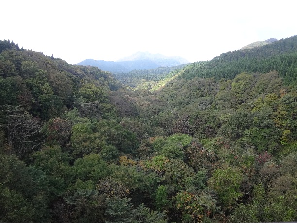 b0149340_22294469.jpg