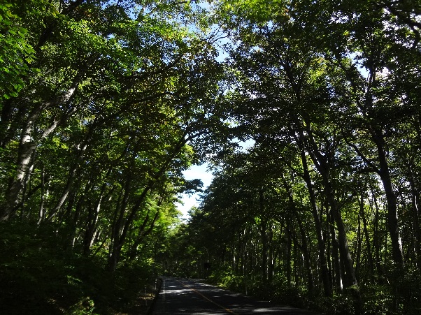 b0149340_22552249.jpg