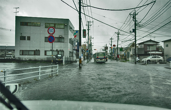 b0130243_2014196.jpg