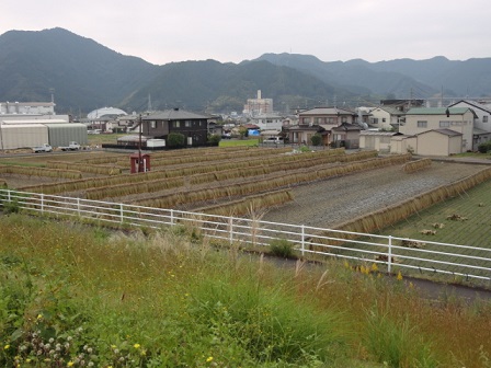 f0046854_2345135.jpg