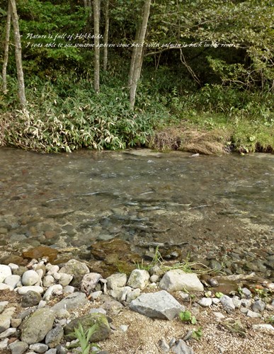 f0184055_948389.jpg