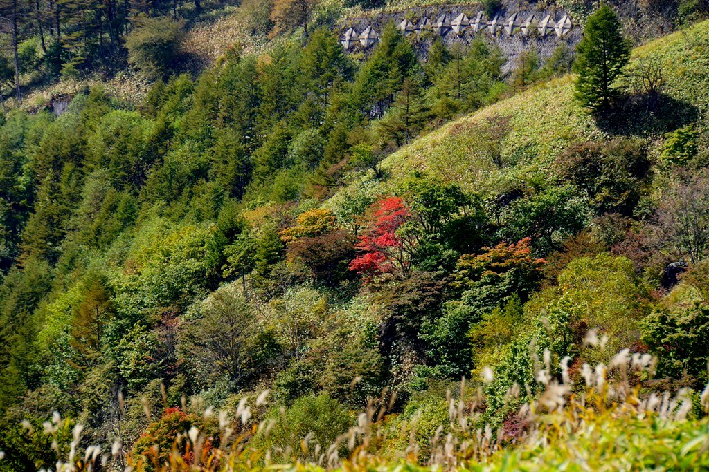 e0223456_1027528.jpg