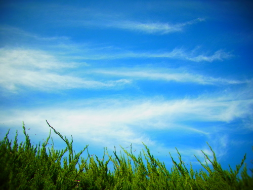 b0238760_2441375.jpg