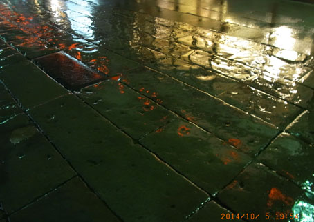 b0075364_14454056.jpg
