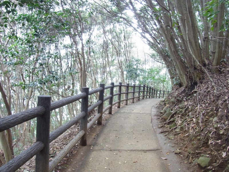 b0270464_1740319.jpg