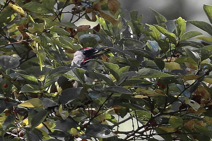 f0215964_20110657.jpg