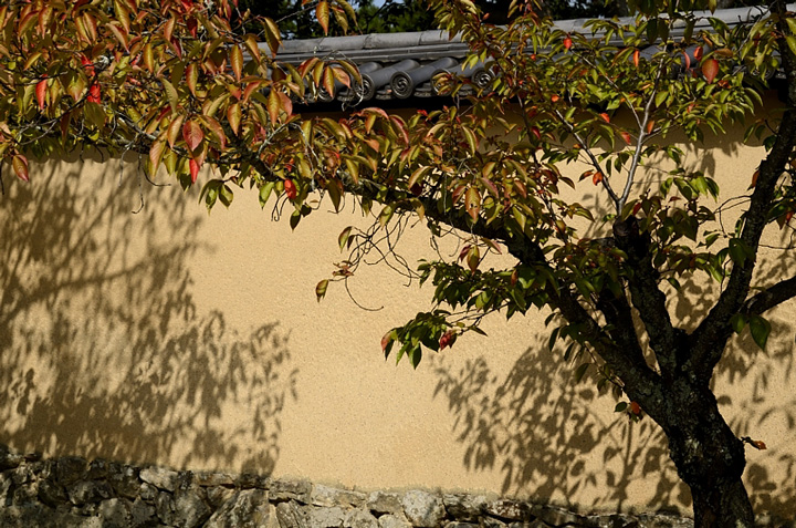 f0108478_20391785.jpg