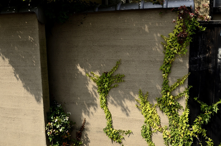 f0108478_20491845.jpg