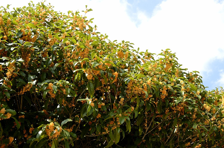 f0108478_20504079.jpg