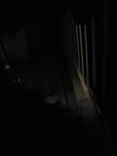 c0035386_0484716.jpg