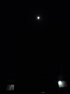 c0035386_0484784.jpg