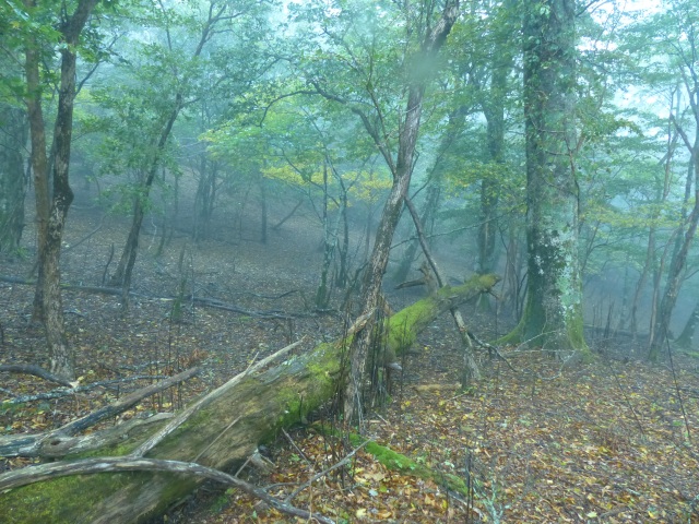 f0357487_23525063.jpg