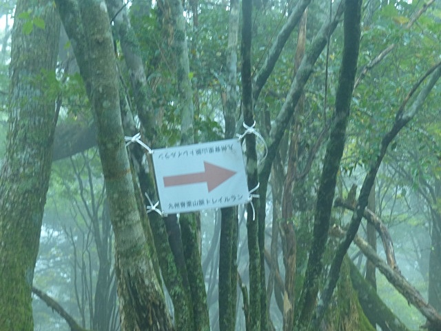 f0357487_23545661.jpg