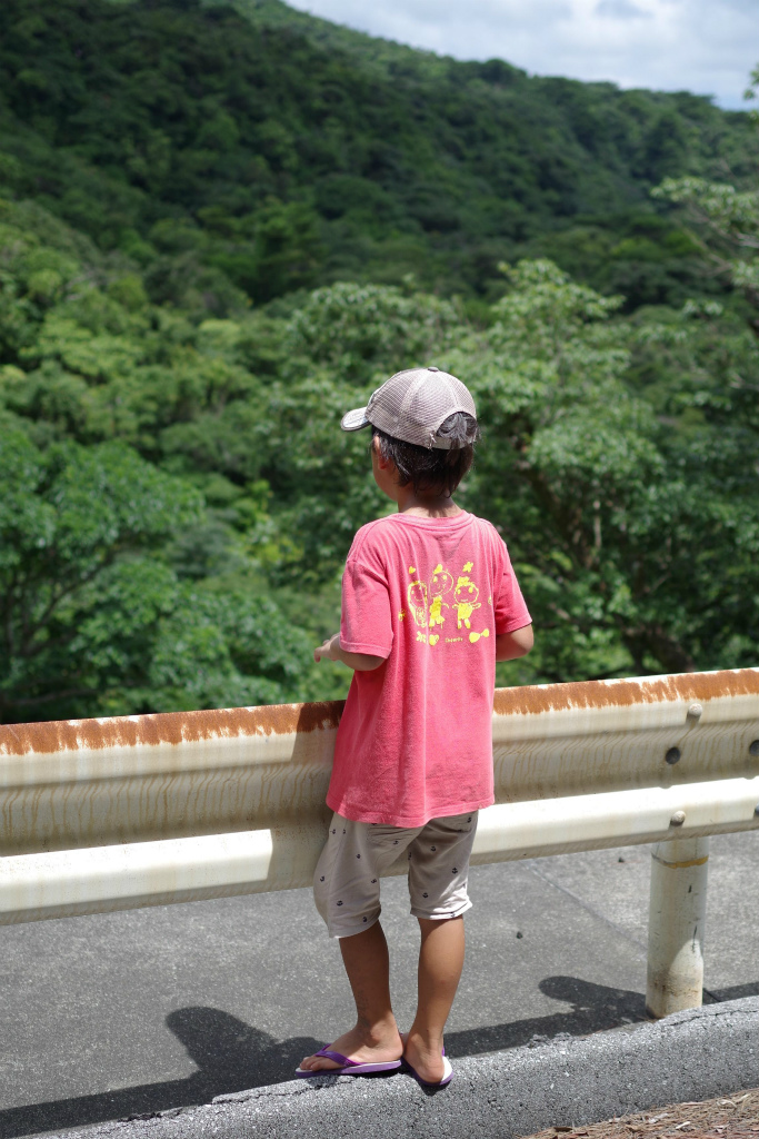 d0286391_17552260.jpg