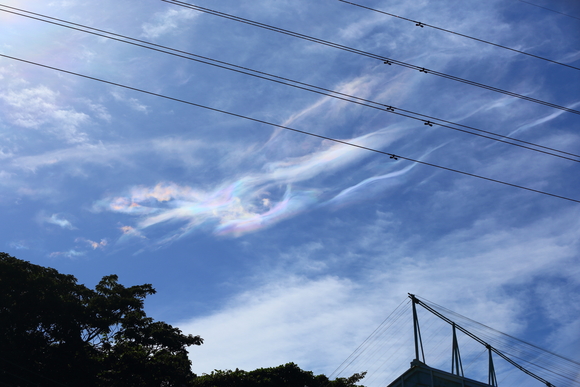 b0275998_10353986.jpg