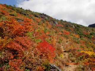 c0151898_20343354.jpg