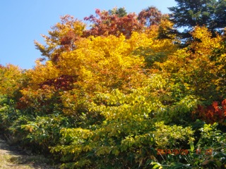 c0151898_20344436.jpg