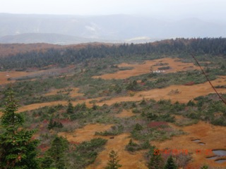 c0151898_20345426.jpg