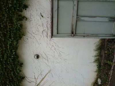 f0214600_18240856.jpg