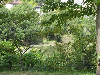 c0152002_18433092.jpg