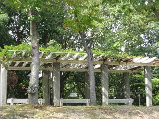 c0152002_18450871.jpg