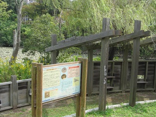 c0152002_18484220.jpg