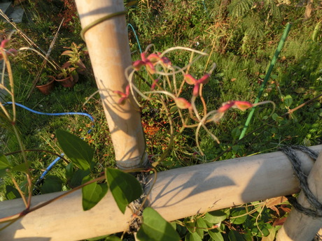 a0203003_21195280.jpg