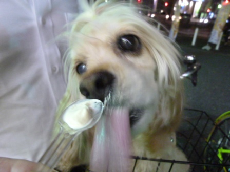 c0128303_22303244.jpg