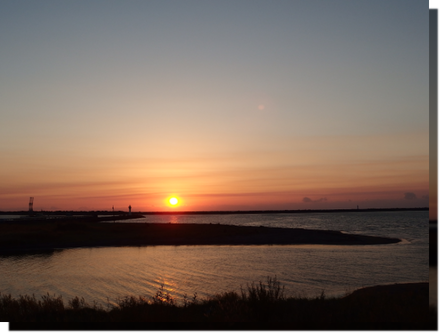 a0114514_19455698.png