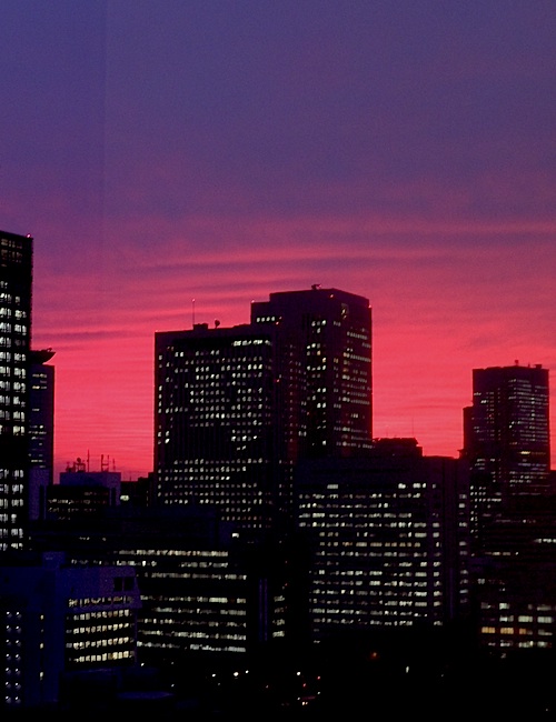 f0036716_1747714.jpg
