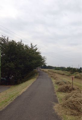 b0203925_19431540.jpg