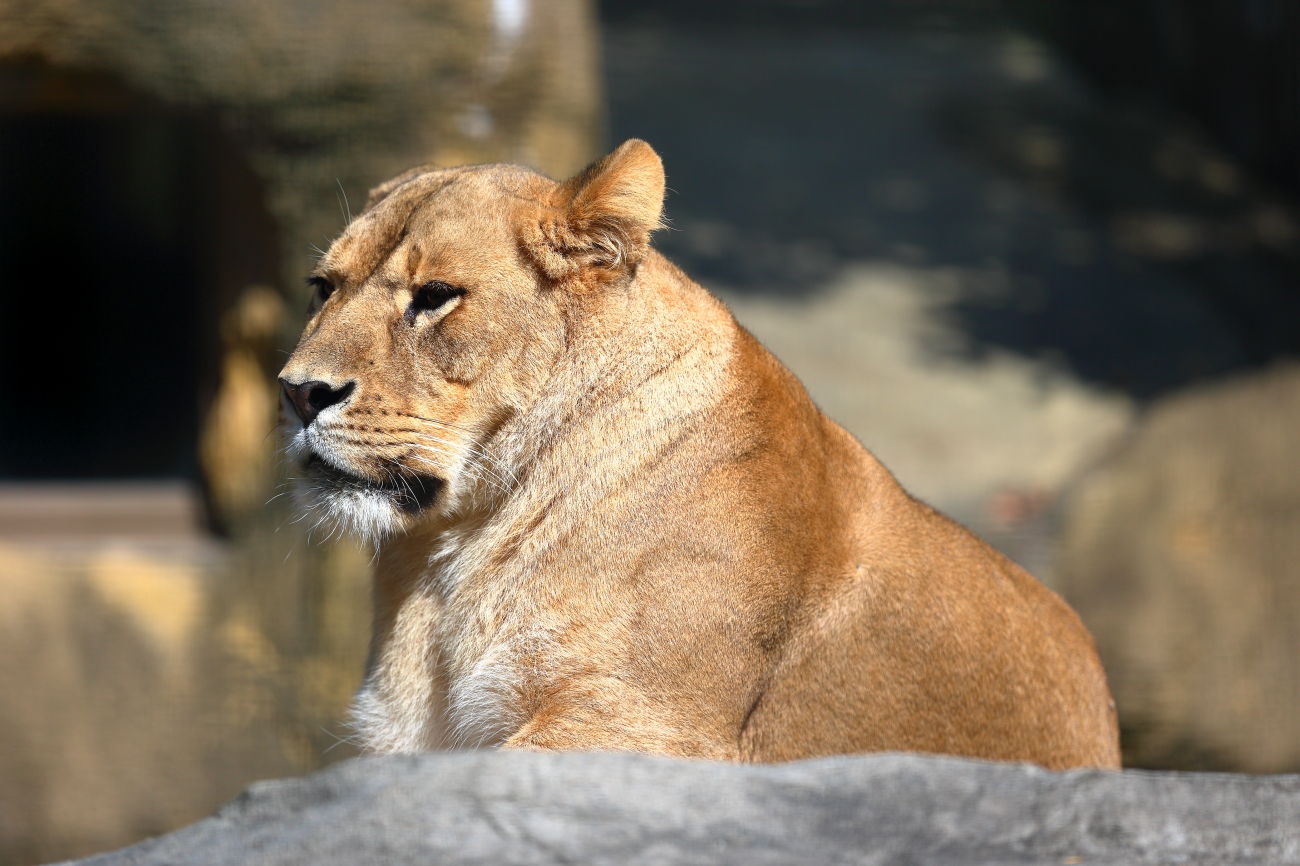 b0174626_06114529.jpg