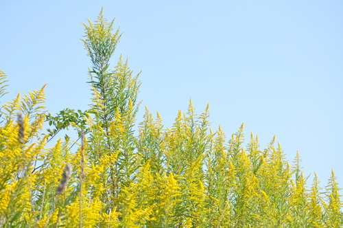 a0248728_21101360.jpg