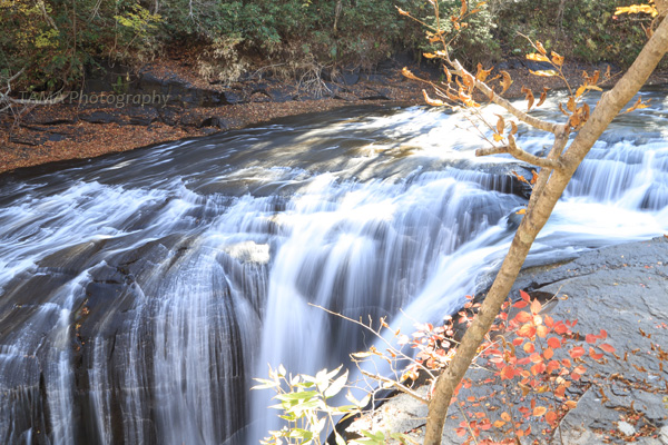 c0024729_18345635.jpg