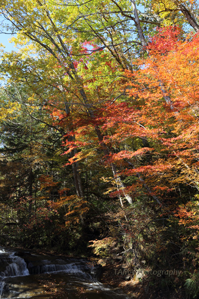 c0024729_18350070.jpg