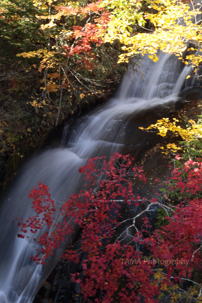 c0024729_18351141.jpg