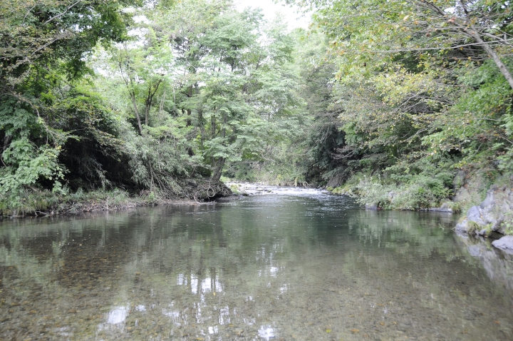 c0133133_1647491.jpg