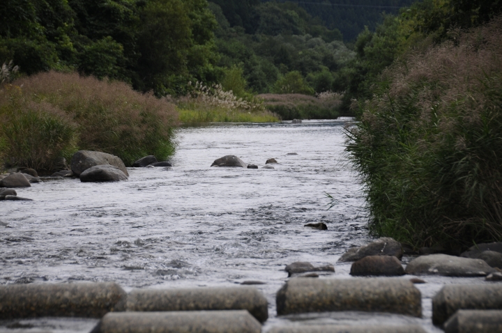c0133133_16484249.jpg