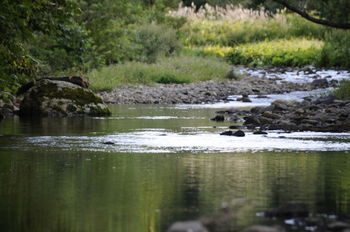 c0133133_1652171.jpg