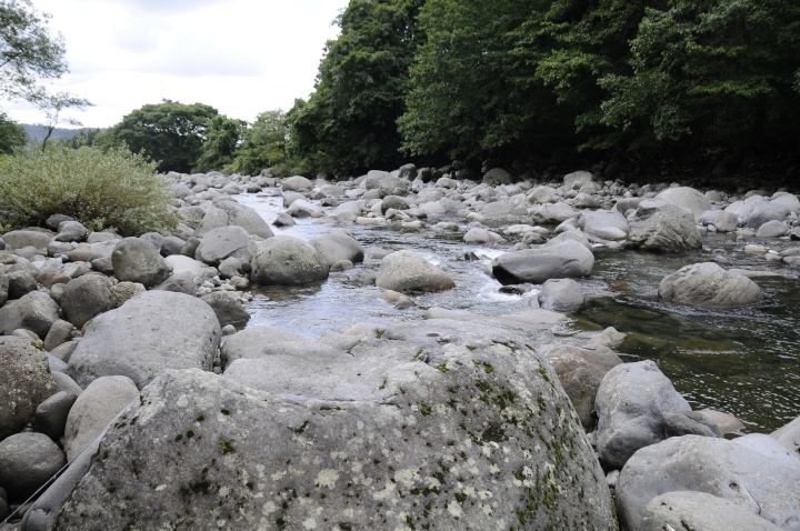 c0133133_1655727.jpg