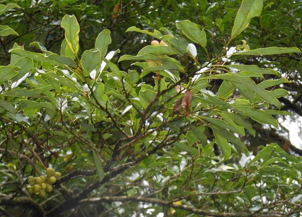 f0042737_11382282.jpg