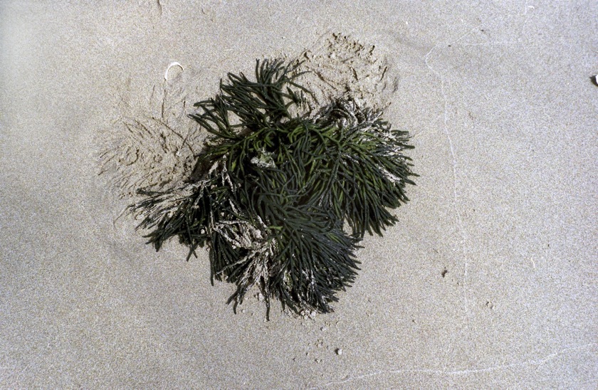 d0089742_22312580.jpg